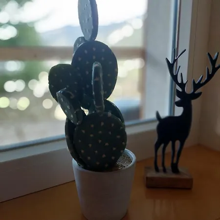 Huber's * Hainzenberg