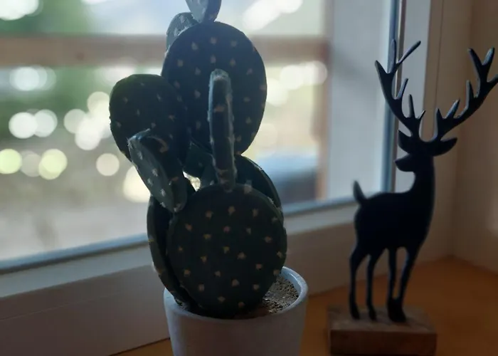 Huber's * Hainzenberg